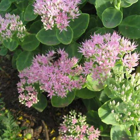 Hébergement de vacances Mit Sauna Und Whirlpool Börgerende-Rethwisch