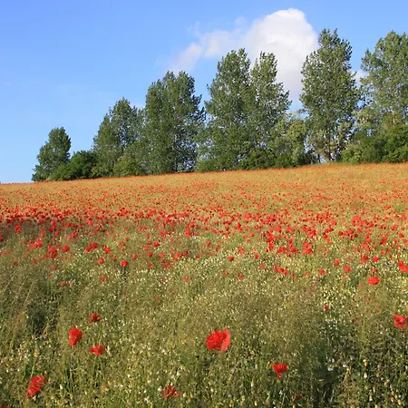 Mit Sauna Und Whirlpool Hébergement de vacances *
