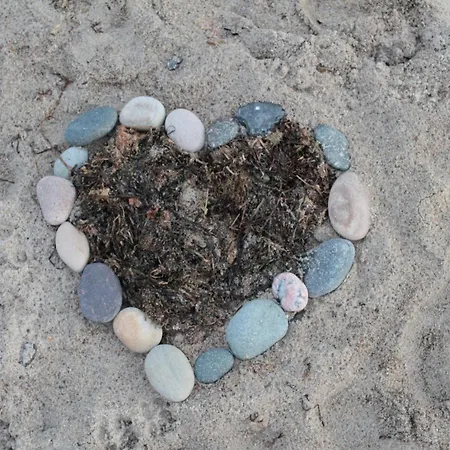 Hébergement de vacances Mit Sauna Und Whirlpool Börgerende-Rethwisch