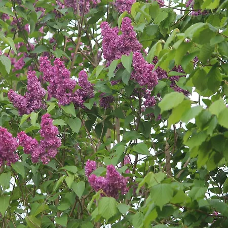Mit Sauna Und Whirlpool Börgerende-Rethwisch