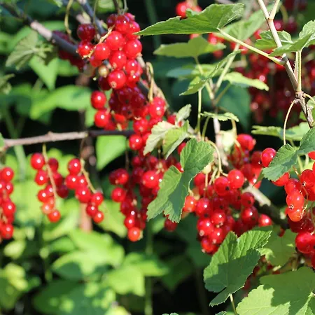 Mit Sauna Und Whirlpool * Börgerende-Rethwisch