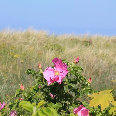 Mit Sauna Und Whirlpool Hébergement de vacances Börgerende-Rethwisch