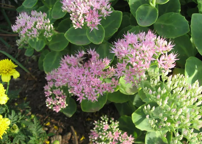 Semesterbostad Mit Sauna Und Whirlpool Börgerende-Rethwisch