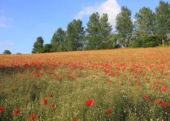 Mit Sauna Und Whirlpool Semesterbostad *