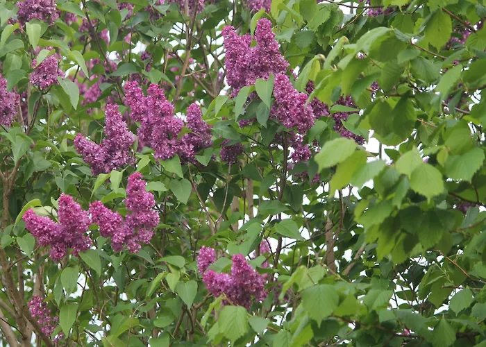 Mit Sauna Und Whirlpool Börgerende-Rethwisch