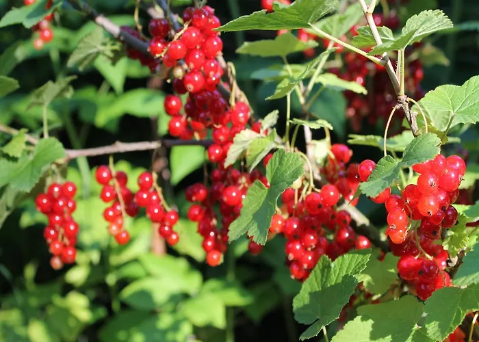 Mit Sauna Und Whirlpool * Börgerende-Rethwisch