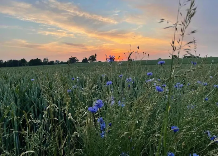 Semesterbostad Mit Sauna Und Whirlpool Börgerende-Rethwisch